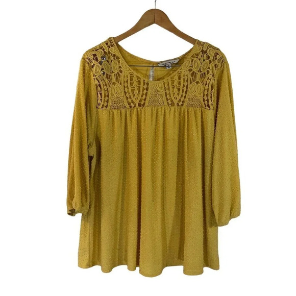 Zac & Rachel Yellow Blouse Plus 3X Swiss Dot Textured Crochet Chest Pullover Top - Picture 1 of 11